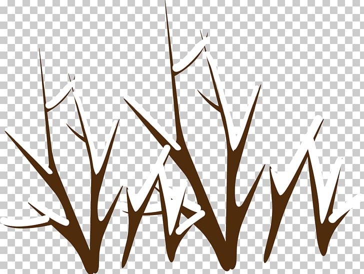 Arctic Daxue North Pole Winter PNG, Clipart, Angle, Arctic, Arctic Snow, Branches, Branches Vector Free PNG Download