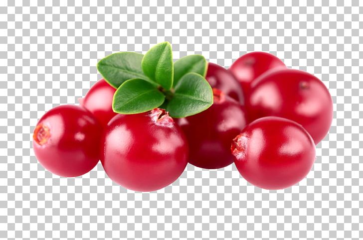 Cranberry Barbados Cherry Zante Currant Lingonberry Huckleberry PNG, Clipart, Acerola, Acerola Family, Berry, Bilberry, Cherry Free PNG Download