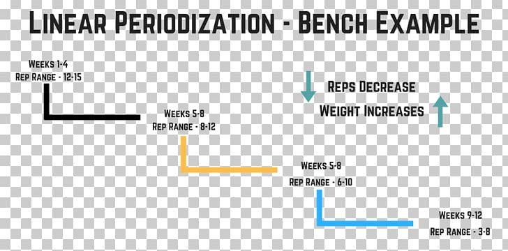 Sports Periodization Strength Training PNG, Clipart, Angle, Area, Bench Press, Brand, Definition Free PNG Download