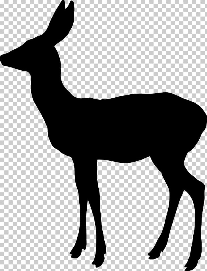 White-tailed Deer Reindeer Elk Moose PNG, Clipart, Animals, Antelope, Antler, Black And White, Deer Free PNG Download