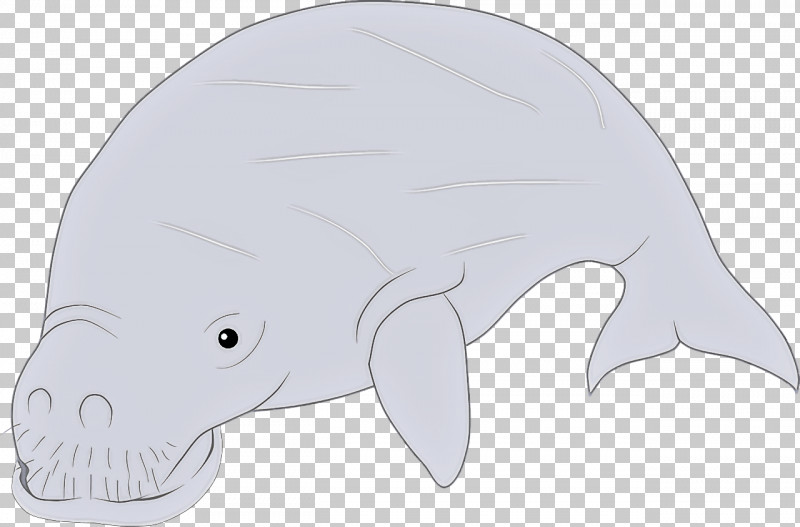 Cetaceans Cartoon Fish Whales Animal Figurine PNG, Clipart, Animal Figurine, Cartoon, Cetaceans, Fish, Whales Free PNG Download