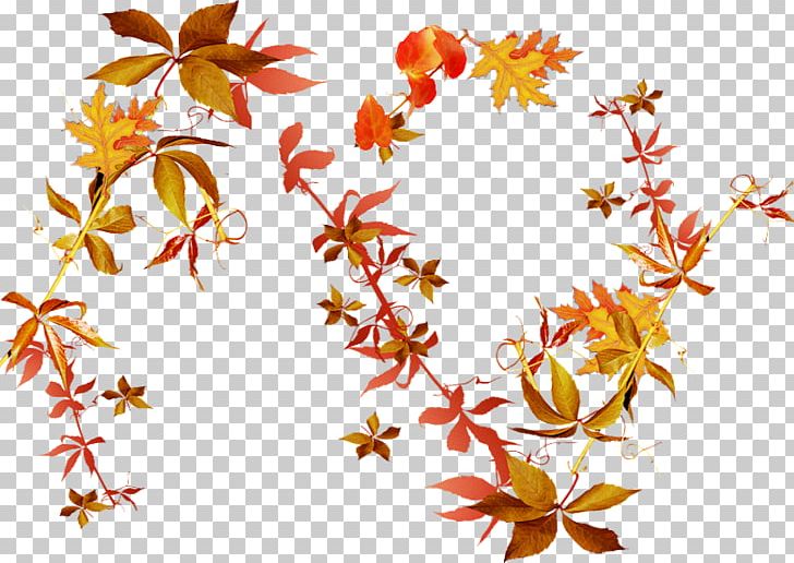 Autumn Leaves Flower PNG, Clipart, Artwork, Autumn, Autumn Leaves, Blumen, Branch Free PNG Download