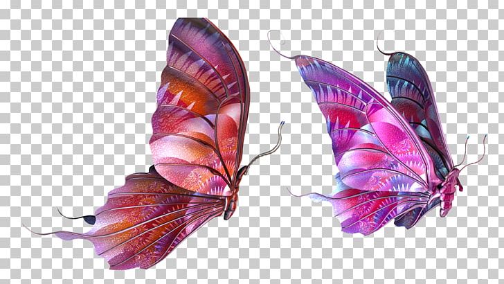 Butterfly PNG, Clipart, Arthropod, Butterflies And Moths, Butterfly, Image File Formats, Insect Free PNG Download