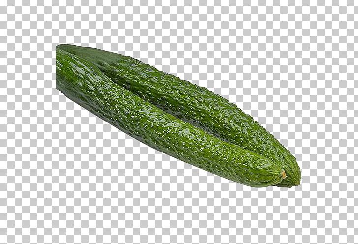Pickled Cucumber Vegetable Armenian Cucumber PNG, Clipart, Bitter Melon, Cucumber, Cucumber Gourd And Melon Family, Cucumber Slices, Cucumis Free PNG Download