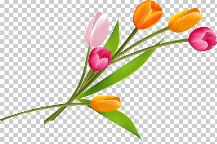 Flower Bouquet PNG, Clipart, Computer Icons, Cut Flowers, Desktop Wallpaper, Download, Floral Design Free PNG Download