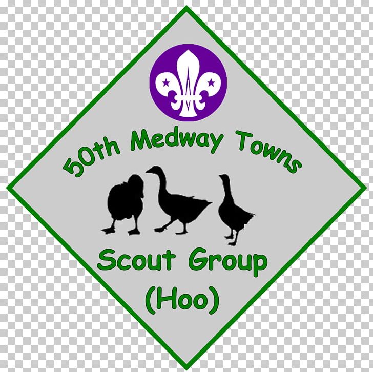 Scouting World Scout Jamboree World Organization Of The Scout Movement Cub Scout Explorer Scouts PNG, Clipart, 50th Operations Group, Area, Badge, Beavers, Bird Free PNG Download