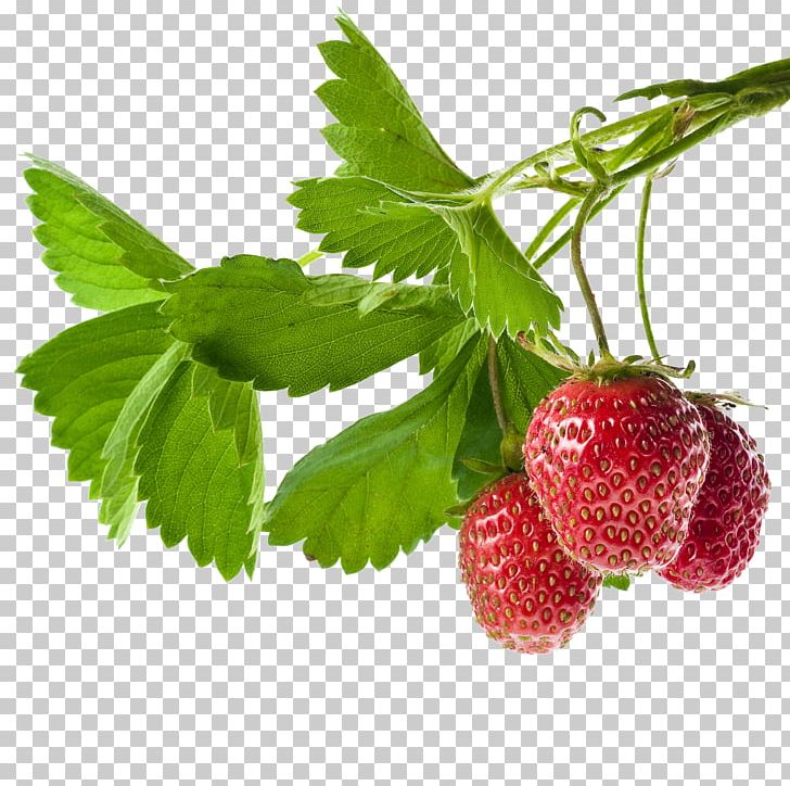 Strawberry Food Fruit PNG, Clipart, Allergy, Amorodo, Auglis, Berry, Food Free PNG Download