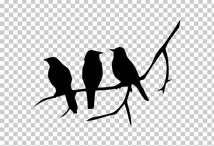 Bird Silhouette PNG, Clipart, Animals, Beak, Bird, Bird Silhouette, Black And White Free PNG Download