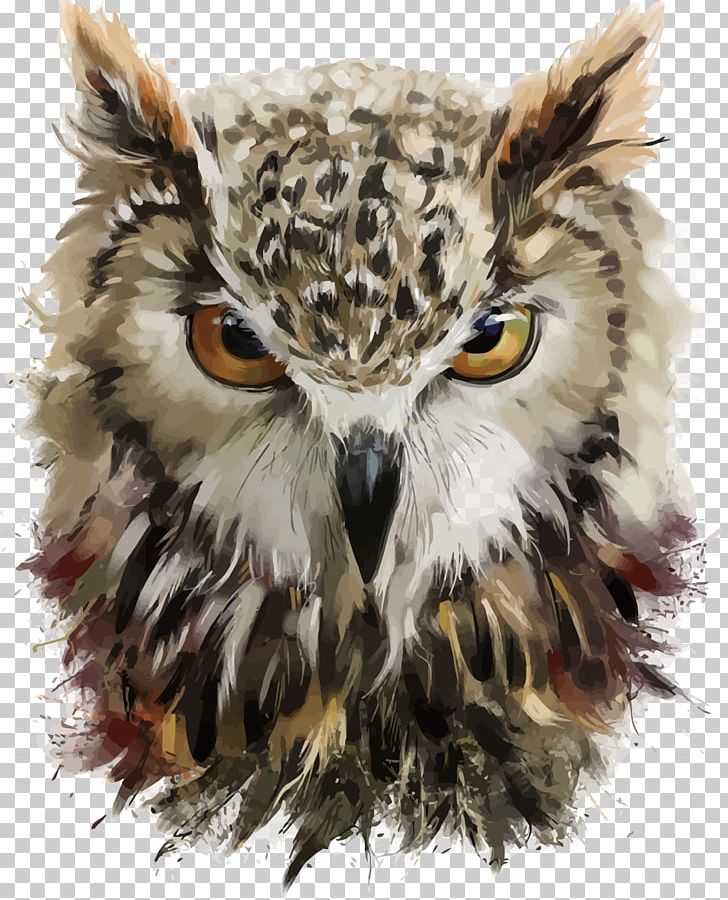 Owl Drawing Painting PNG, Clipart, Animal, Artist, Beak, Bird, Brian Franco Free PNG Download