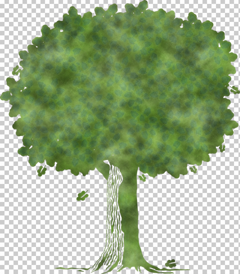 Arbor Day PNG, Clipart, Abstract Tree, Arbor Day, Cartoon Tree, Elm, Flower Free PNG Download