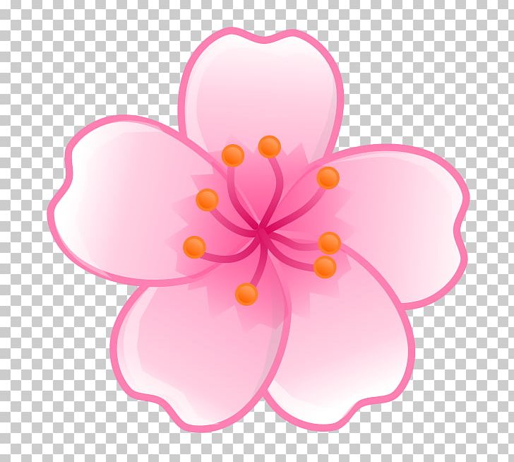 Cherry Blossom Flower PNG, Clipart, Blossom, Cherry, Cherry Blossom, Clip Art, Drawing Free PNG Download