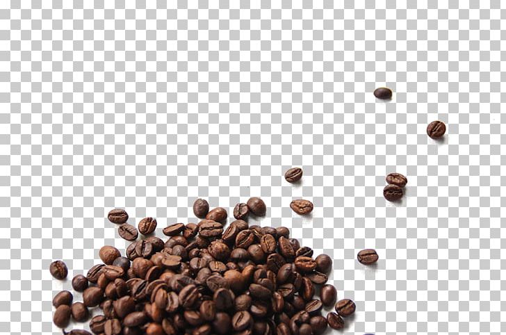 Coffee Bean Cafe Cocoa Bean PNG, Clipart, Adzuki Bean, Arabica Coffee, Bean, Beans, Cafe Free PNG Download