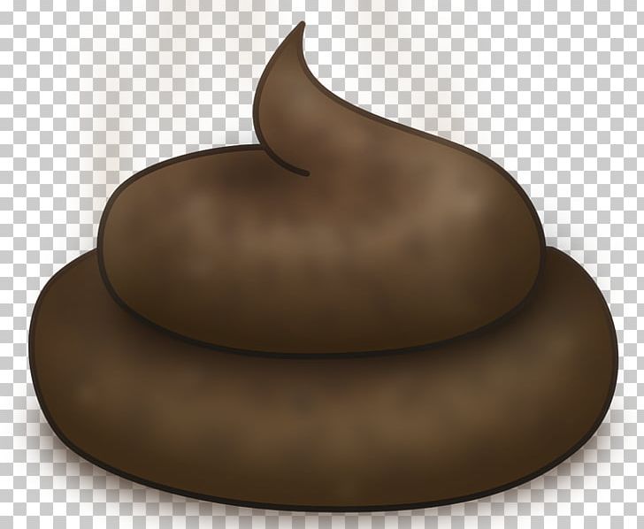 Feces Shit Computer Icons PNG, Clipart, Bany, Computer Icons, Download, Feces, Furniture Free PNG Download