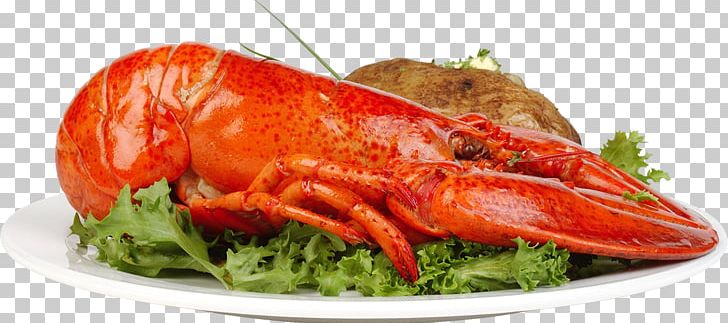 Homarus Lobster Thermidor Crab Palinurus Elephas Dish PNG, Clipart, Animal Source Foods, Apple Fruit, Color, Crab Meat, Crustacean Free PNG Download