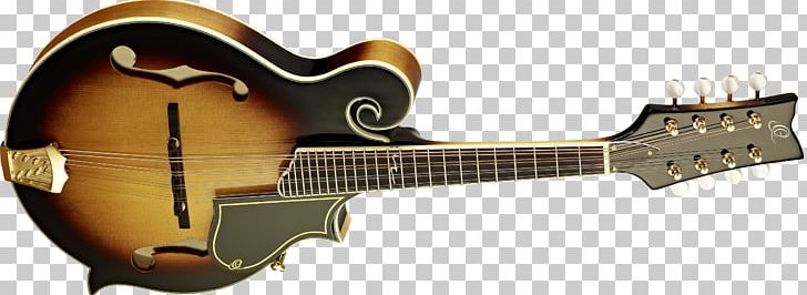 Cavaquinho Acoustic Guitar Mandolin Tiple Acoustic-electric Guitar PNG, Clipart, Acoustic Electric Guitar, Classical Guitar, Guitar Accessory, Mandolin, Music Free PNG Download