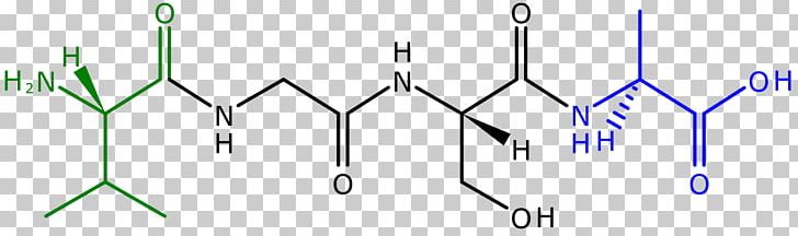 Peptide Bond Chloroplast Peptide Synthesis Cyclic Peptide PNG, Clipart, Amine, Amino Acid, Angle, Area, Chloroplast Free PNG Download