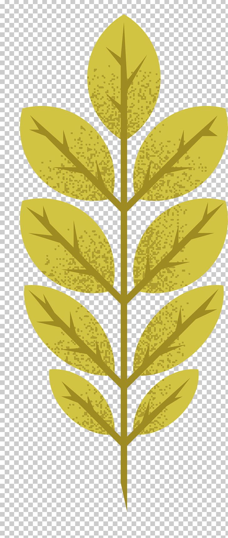 Maple Leaf Autumn PNG, Clipart, Encapsulated Postscript, Fall Leaves, Happy Birthday Vector Images, Leaf, Leaves Free PNG Download
