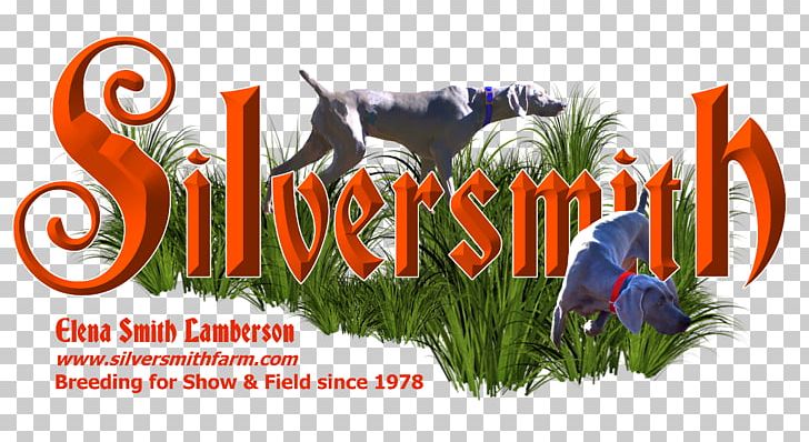 Weimaraner Puppy Logo Silversmith Farm Boarding LLC Charleston Dog Training Club PNG, Clipart, Advertising, Animals, Brand, Charleston County South Carolina, Dog Free PNG Download