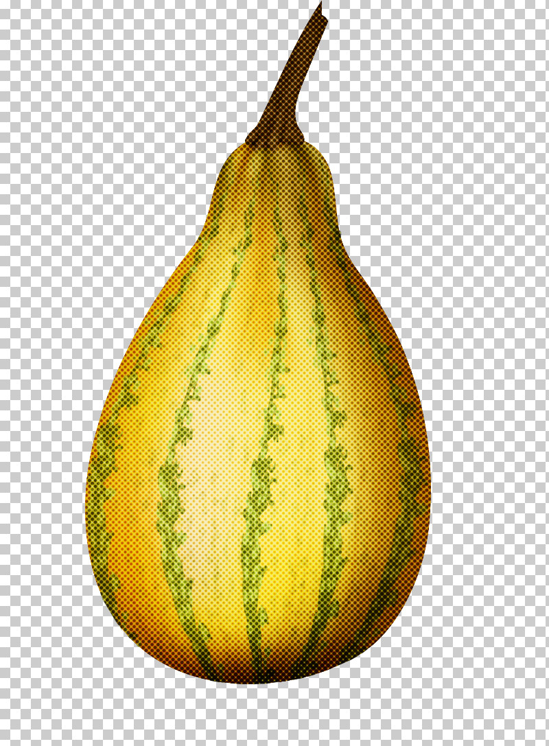 Yellow Pear Plant Fruit Vegetable PNG, Clipart, Calabash, Food, Fruit, Pear, Plant Free PNG Download