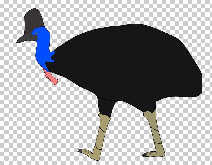 Common Ostrich Cygnini Goose Anatidae Duck PNG, Clipart, Anatidae, Animals, Beak, Bird, Cassowary Free PNG Download