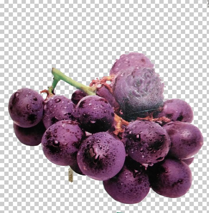 Grape Juice Fruit Purple PNG, Clipart, Blueberry, Food, Fruit, Fruit Nut, Frutti Di Bosco Free PNG Download