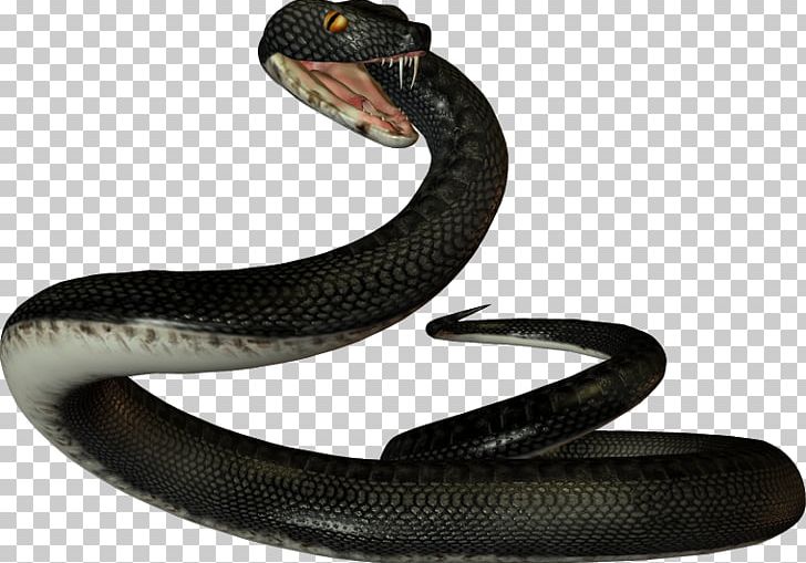 Snake Reptile Vipers PNG, Clipart, Anaconda, Animal, Animals, Computer Icons, Elapidae Free PNG Download