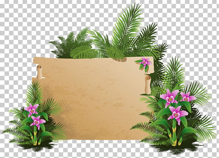 Beach Cdr Grass PNG, Clipart, Beach, Board, Cdr, Clipart, Clip Art Free PNG Download