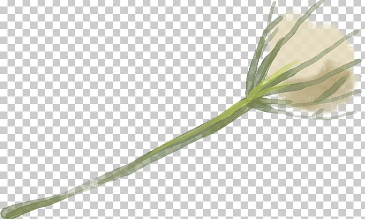 Therapy Arvigo Institute LLC Flower Healing Plant Stem PNG, Clipart, Abdomen, Facebook, Flower, Grass, Grass Family Free PNG Download