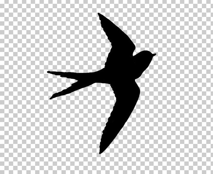 Birds In The Sky Child Maura Jane Photography PNG, Clipart, Animals, Beak, Bird, Birds In The Sky, Black And White Free PNG Download