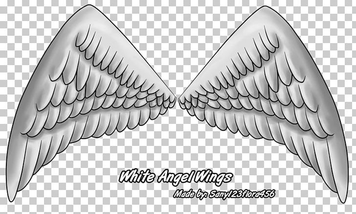 Brush Of Wings Vase .eu Blog PNG, Clipart,  Free PNG Download