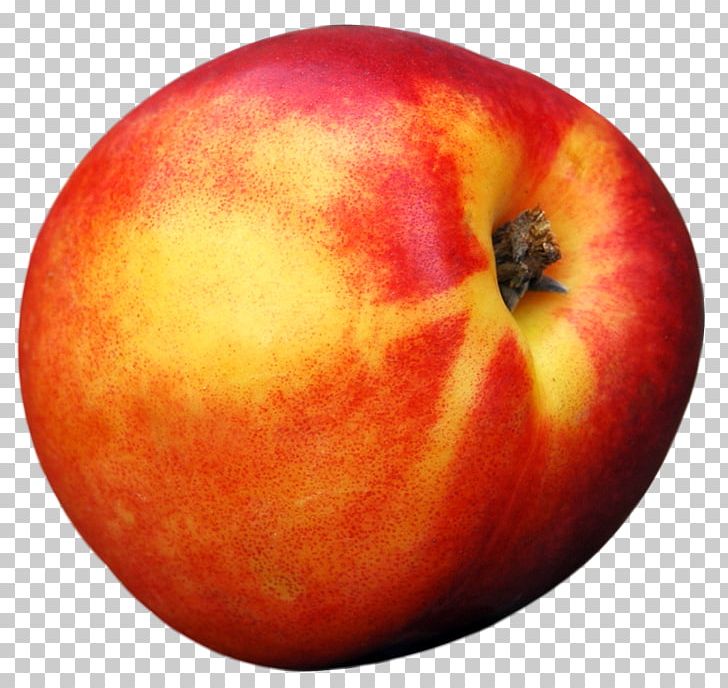 Peach Fruit PNG, Clipart, Apple, Bit, Blueberry, Computer Icons, Digital Media Free PNG Download