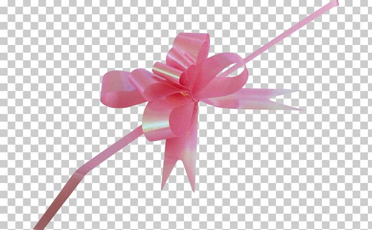 Pink Ribbon Red Mercedes-Benz PNG, Clipart, Color, Flower, Flowering Plant, Gift, Green Free PNG Download