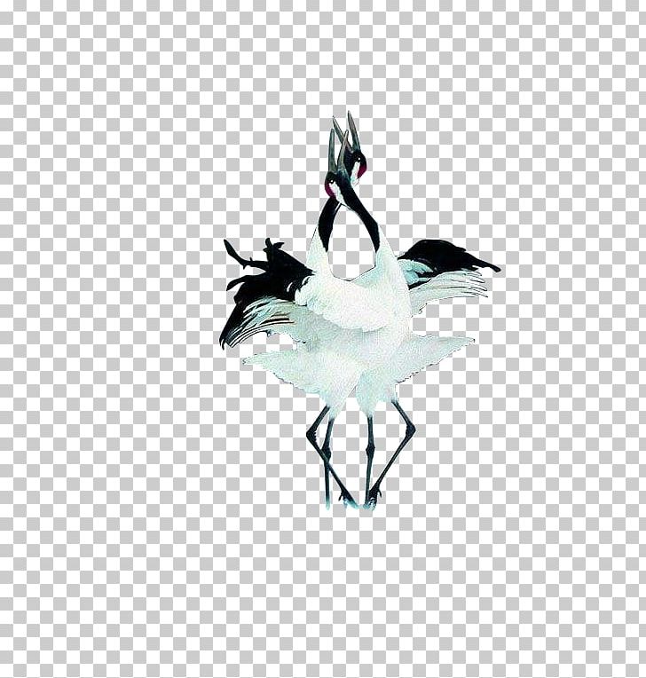 Red-crowned Crane Japan Bird Dance PNG, Clipart, Art, Bea, Bird Migration, Blue, Christmas Lights Free PNG Download