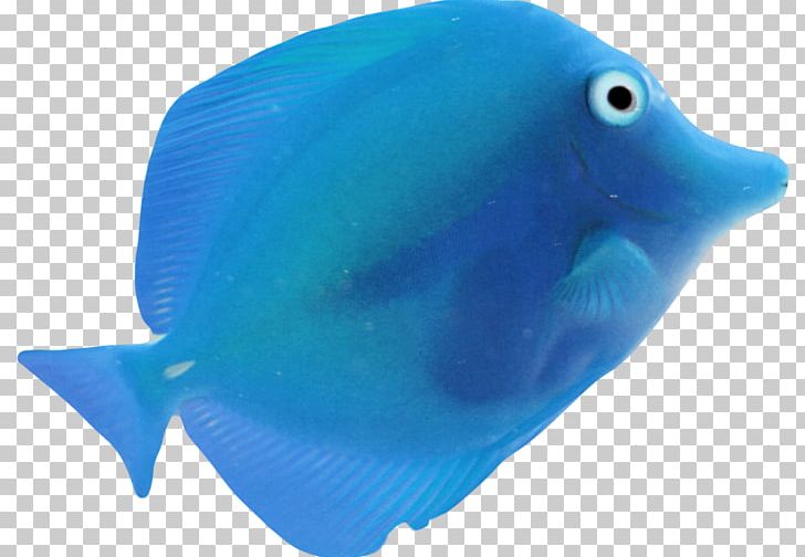 Fish Blue Sea PNG, Clipart, Animals, Aqua, Blue, Blue Moon, Cobalt Blue Free PNG Download