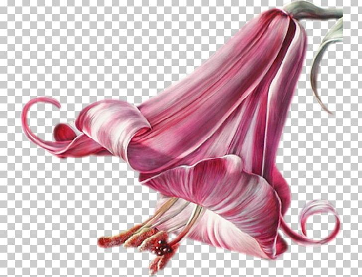 Flower Art Floral Design Lilium PNG, Clipart, Art, Artificial Flower, Avatar, Blog, Blume Free PNG Download