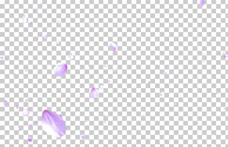 Lavender Blue Lilac Violet Magenta PNG, Clipart, Atmosphere, Blue, Cherry Blossom, Circle, Closeup Free PNG Download