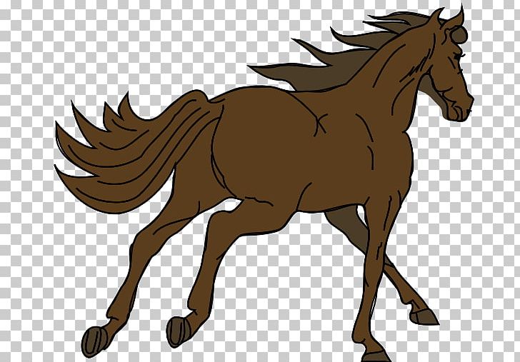 Mustang Foal Seal Brown PNG, Clipart, Animated Wolf Clipart, Bay, Black,  Bridle, Colt Free PNG Download
