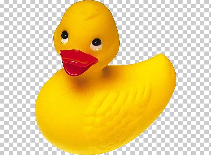Rubber Duck Yellow PNG, Clipart, Animals, Bathtub, Beak, Bird, Color Free PNG Download