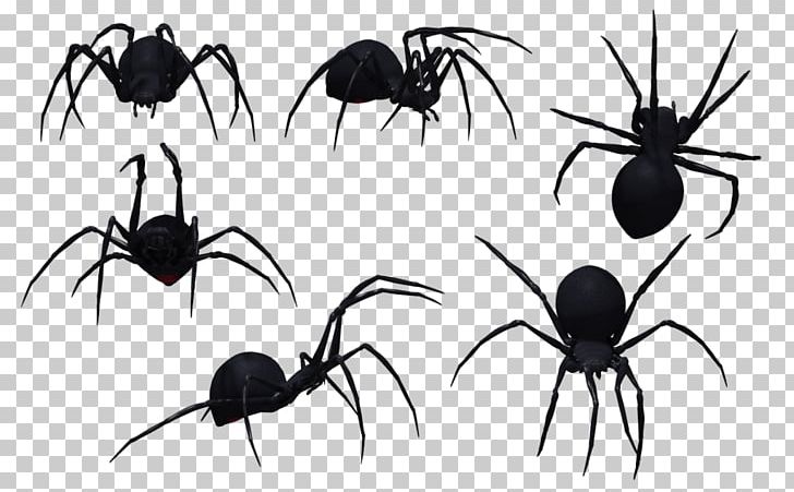 Southern Black Widow Spider Bite Venom PNG, Clipart, Arthropod, Backpacking, Beautiful, Black And White, Black House Spider Free PNG Download