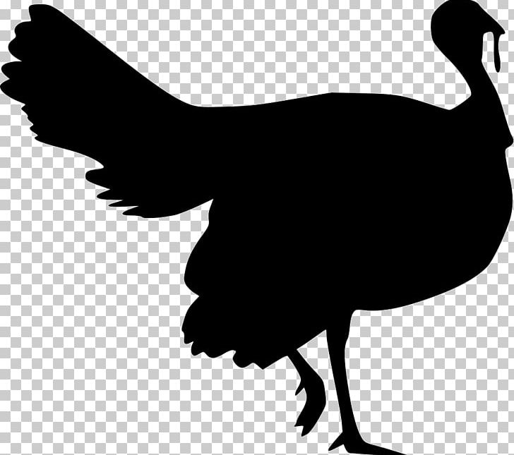 Stencil Turkey Meat Silhouette Rooster PNG, Clipart, Animals, Art, Beak, Bird, Black And White Free PNG Download