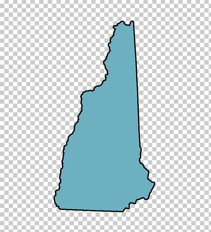2000 New Hampshire Primary Flag And Seal Of New Hampshire Concord Research U.S. State PNG, Clipart, 2000 New Hampshire Primary, Area, Concord, Hampshire, Laboratory Free PNG Download