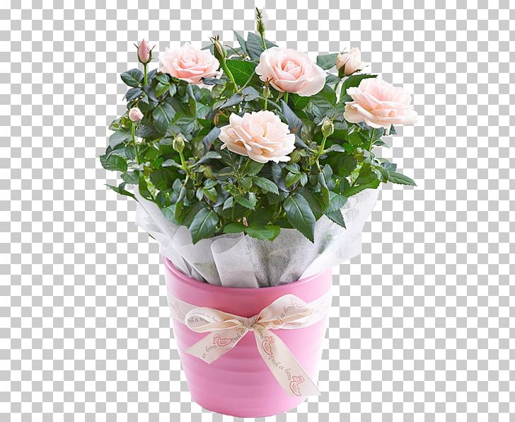 Garden Roses Cabbage Rose Pink Flowerpot Cut Flowers PNG, Clipart, Annual Plant, Artificial Flower, Cut Flowers, Floral Design, Floristry Free PNG Download