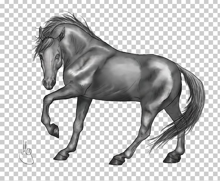 Standing Horse Drawing Grayscale PNG, Clipart, Animals, Deviantart, Grayscale, Help, Horse Free PNG Download