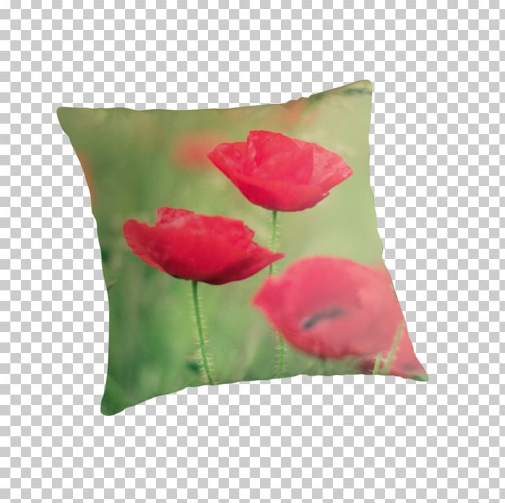 Throw Pillows Cushion Petal PNG, Clipart, Coquelicot, Cushion, Flower, Flowering Plant, Furniture Free PNG Download