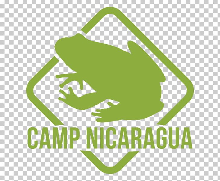 Brand Logo Camps International Costa Rica PNG, Clipart, Amphibian, Area, Brand, Camps International, Costa Rica Free PNG Download