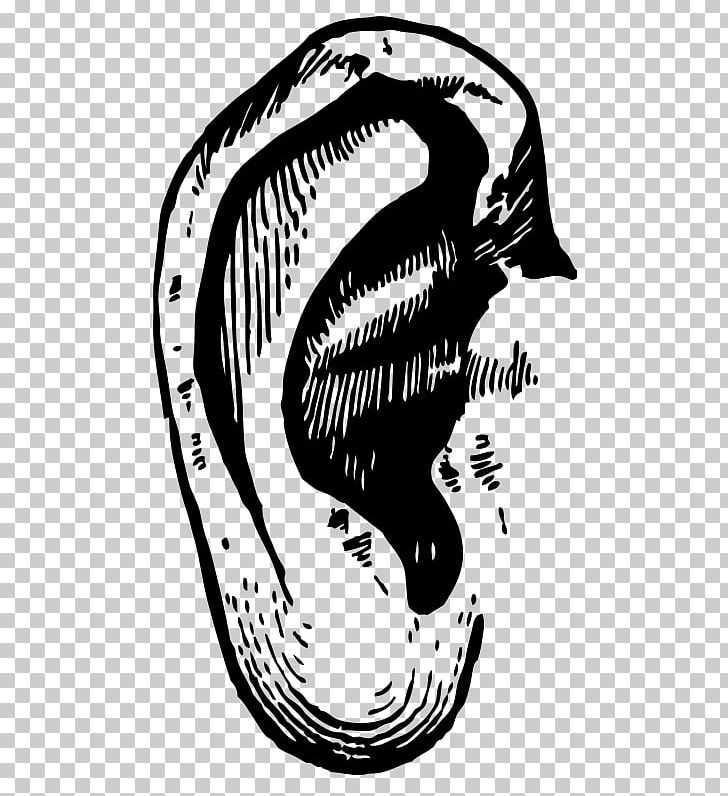 Ear PNG, Clipart, Artwork, Black And White, Bone, Computer Icons, Desktop Wallpaper Free PNG Download