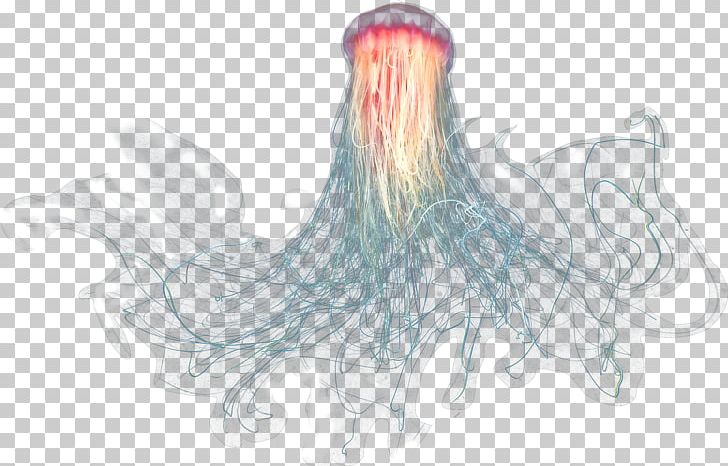 Jellyfish Sea Oceanic Zone PNG, Clipart, Deep Sea Creature, Desktop Wallpaper, Drawing, Fictional Character, Girl Free PNG Download