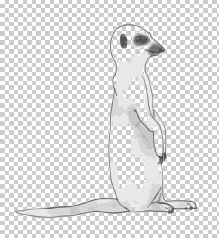 Meerkat Drawing PNG, Clipart, Beak, Bird, Black And White, Carnivoran, Clip Art Free PNG Download