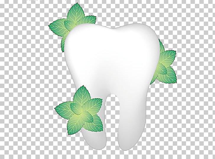 Tooth Pathology Gums Dentistry PNG, Clipart, Background Green, Computer Wallpaper, Fall Leaves, Fresh, Fresh Green Leaves Free PNG Download