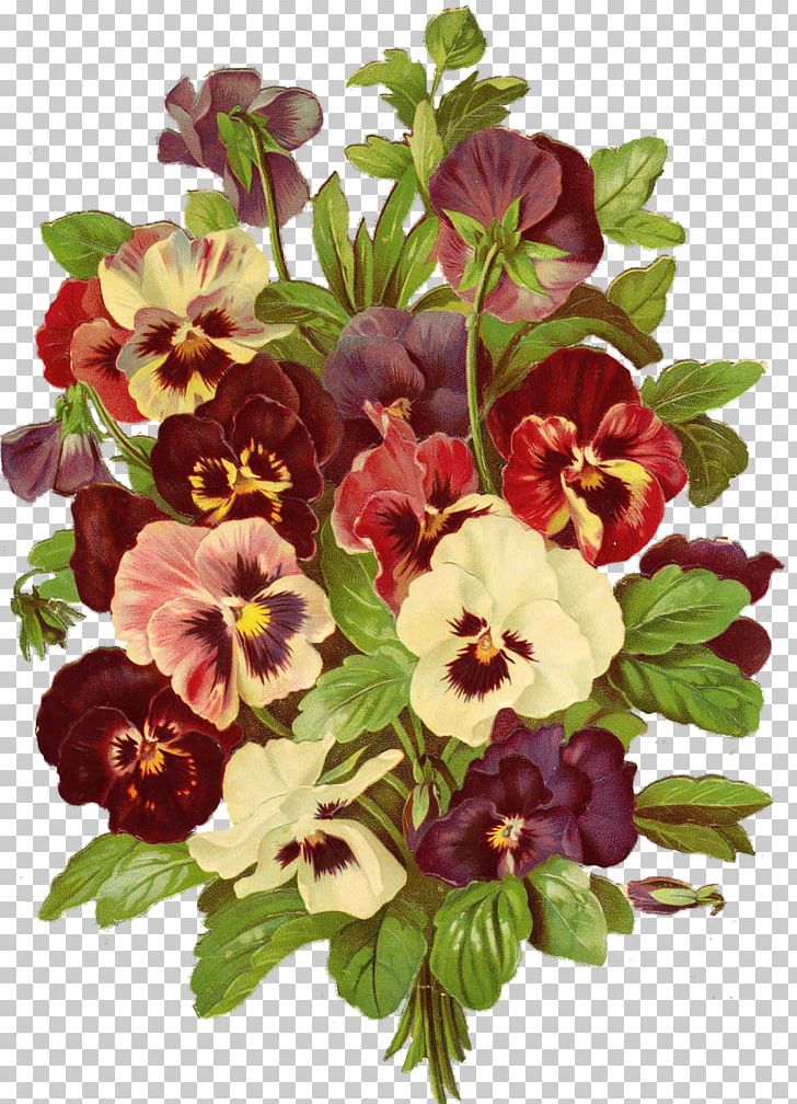 Cut Flowers Pansy PNG, Clipart, Annual Plant, Blume, Clip Art, Cut Flowers, Drawing Free PNG Download